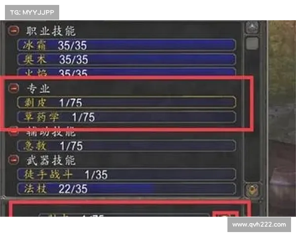 魔兽世界怀旧服:技能栏焕新,重塑职业之力 魔兽世界怀旧服:技能栏焕新,重塑职业之力