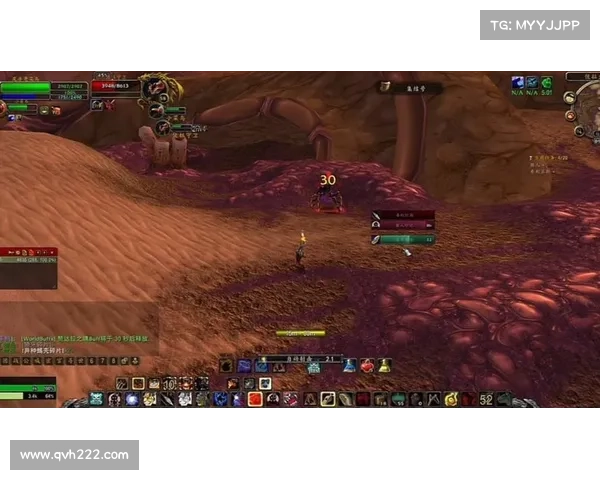 魔兽世界猎人之道:掌握弓箭技艺 魔兽世界猎人之道:掌握弓箭技艺